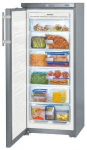 Характеристики Холодильник Liebherr GNsl 2323 фото