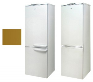 Charakteristik Kühlschrank Exqvisit 291-1-1032 Foto