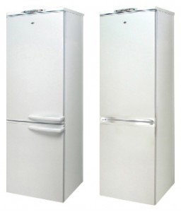 Charakteristik Kühlschrank Exqvisit 291-1-0632 Foto