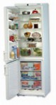 Liebherr KGTes 4036 冷蔵庫 冷凍庫と冷蔵庫