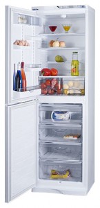 katangian Refrigerator ATLANT МХМ 1848-10 larawan