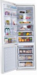 Samsung RL-55 TTE1L Ledusskapis ledusskapis ar saldētavu