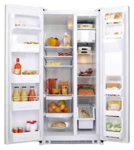 Характеристики Холодильник General Electric GSE22KEBFSS фото