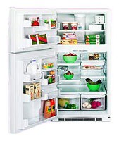 Характеристики Холодильник General Electric PTG25LBSWW фото