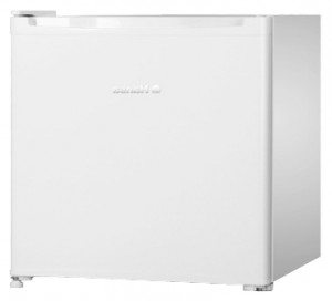 katangian Refrigerator Hansa FM050.4 larawan
