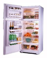 Charakteristik Kühlschrank General Electric GTG16HBMWW Foto
