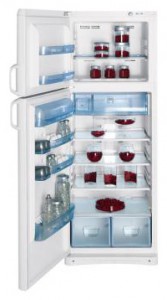Charakteristik Kühlschrank Indesit TAN 5 FNF Foto