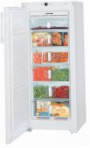 Liebherr GN 2313 Fridge freezer-cupboard