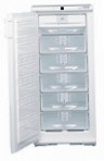 Liebherr GSN 2423 Fridge freezer-cupboard