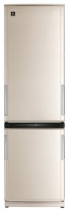 kjennetegn Kjøleskap Sharp SJ-WP371TBE Bilde
