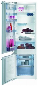 Характеристики Холодильник Gorenje RKI 55295 фото