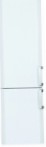 BEKO CS 238021 Frigo réfrigérateur avec congélateur