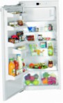 Liebherr IK 2214 Холодильник холодильник з морозильником