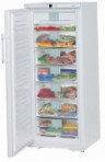 Liebherr GNP 2976 冰箱 冰箱，橱柜