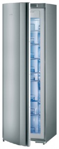 Charakteristik Kühlschrank Gorenje FN 67233 EL Foto