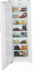 Liebherr GNP 4156 Холодильник морозильник-шкаф