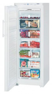 đặc điểm Tủ lạnh Liebherr GN 2756 ảnh