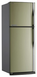 ลักษณะเฉพาะ ตู้เย็น Toshiba GR-R59FTR SC รูปถ่าย