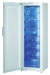 Характеристики Холодильник Gorenje F 60300 DW фото