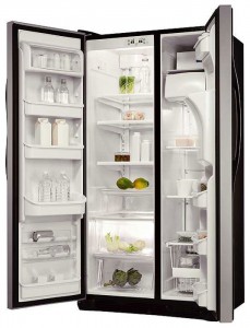 đặc điểm Tủ lạnh Electrolux ERL 6296 SK ảnh
