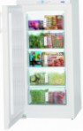Liebherr G 2033 Холодильник морозильний-шафа