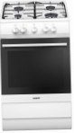 Hansa FCGW51004 Kitchen Stove, type of oven: gas, type of hob: gas