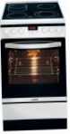 Hansa FCCW54136060 Kitchen Stove, type of oven: electric, type of hob: electric