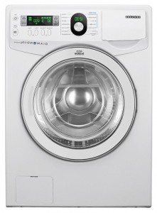 特点 洗衣机 Samsung WF1702YQQ 照片