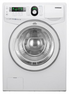 características Máquina de lavar Samsung WF1702YQC Foto