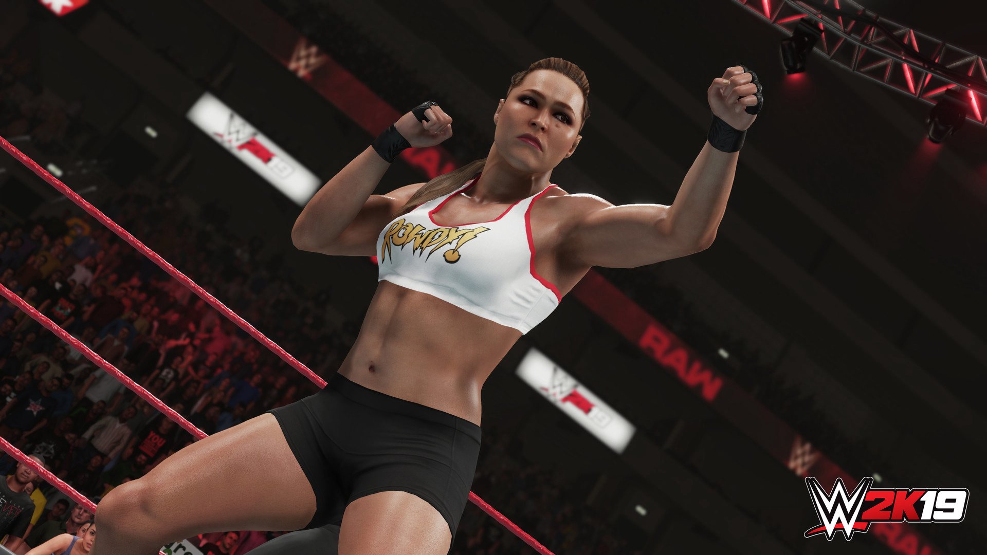 WWE 2K19 PlayStation 4 Account pixelpuffin.net Activation Link, $15.81