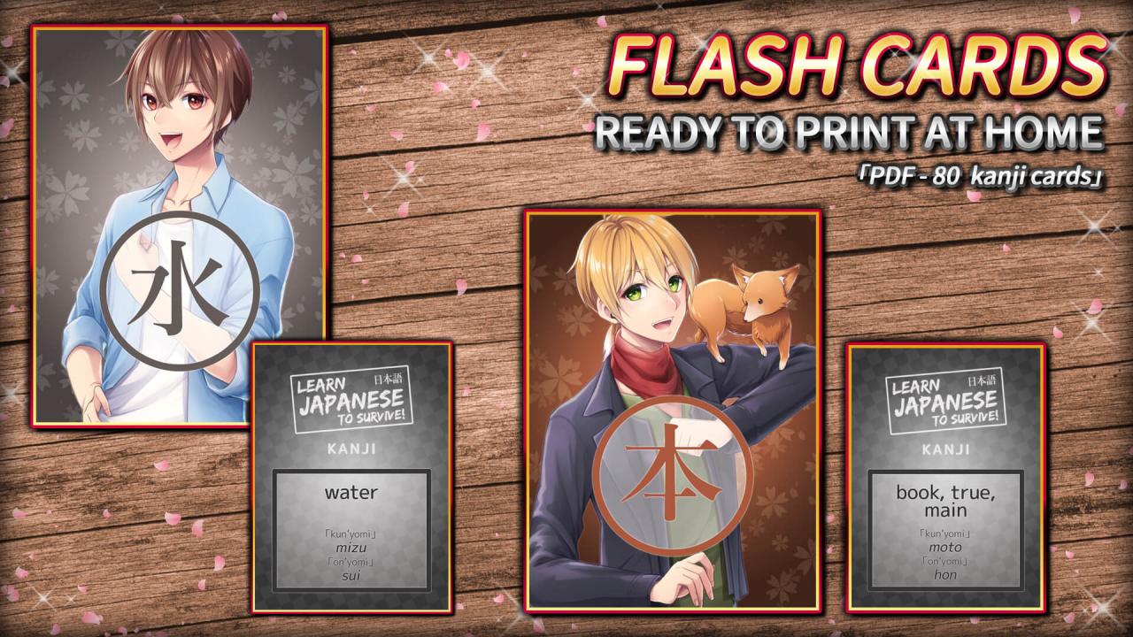 Learn Japanese To Survive! Kanji Combat - Flash Cards DLC Steam CD Key, $0.95