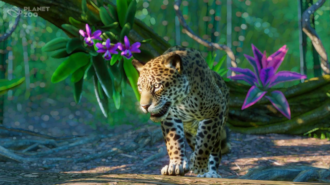 Planet Zoo - South America Pack DLC Steam Altergift, $12.5
