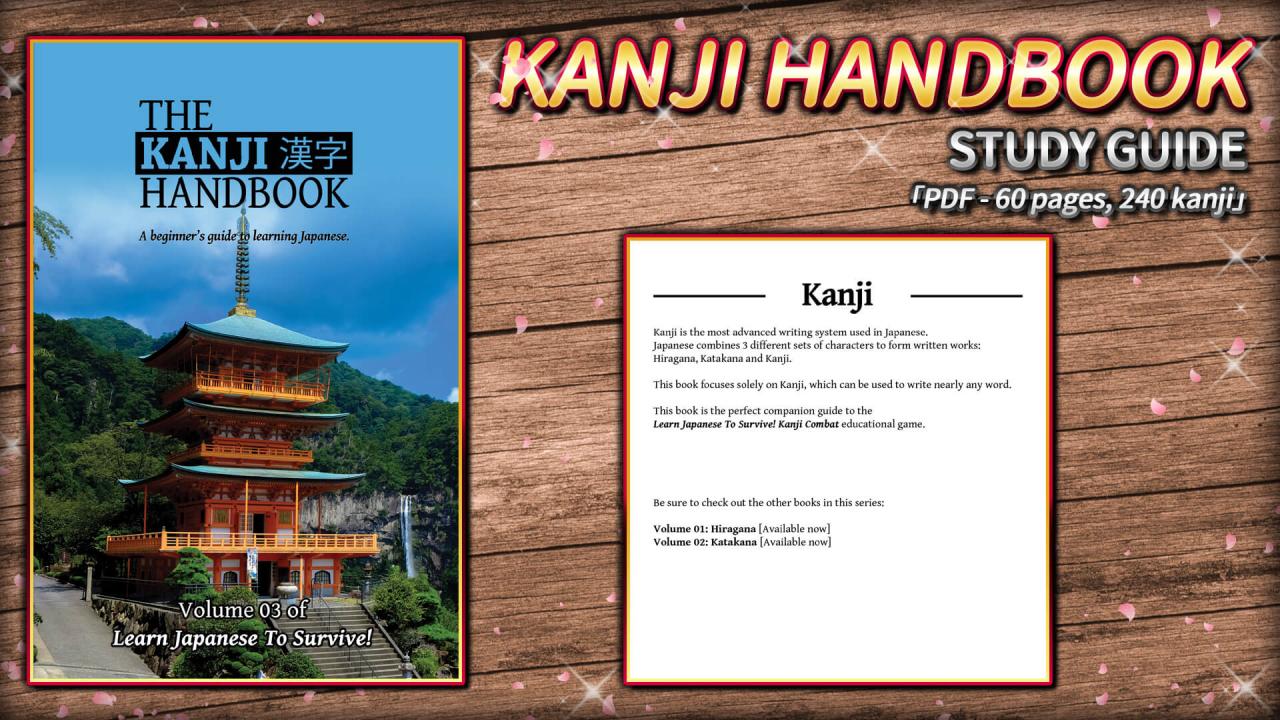 Learn Japanese To Survive! Kanji Combat - Study Guide DLC Steam CD Key, $1.76