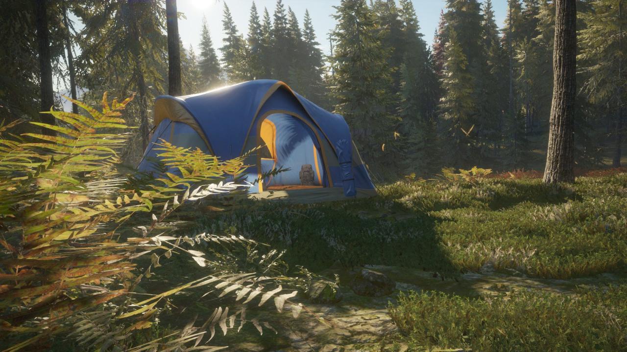 theHunter: Call of the Wild - Tents & Ground Blinds DLC Steam CD Key, $1.6