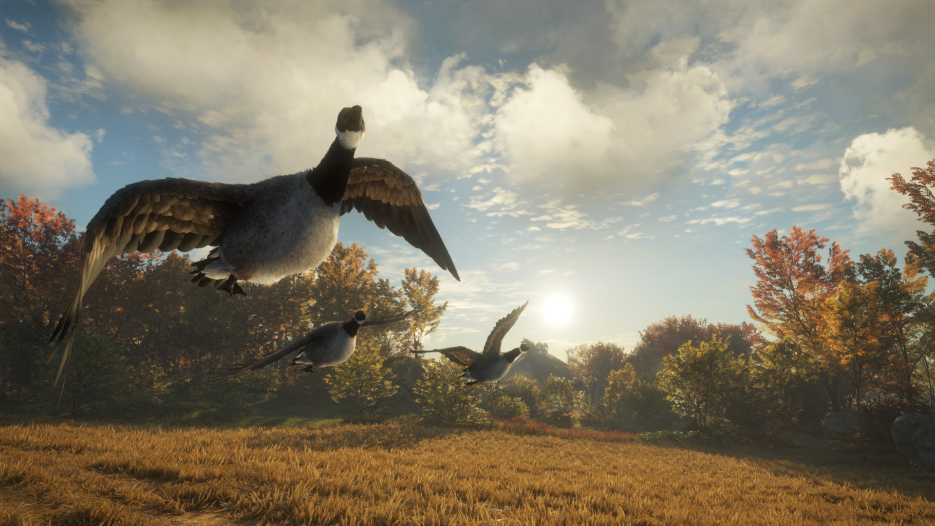 theHunter: Call of the Wild - Wild Goose Chase Gear DLC Steam CD Key, $1.62
