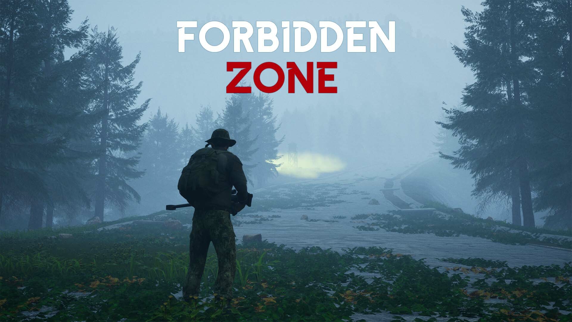 Forbidden zone Steam CD Key, $2.44