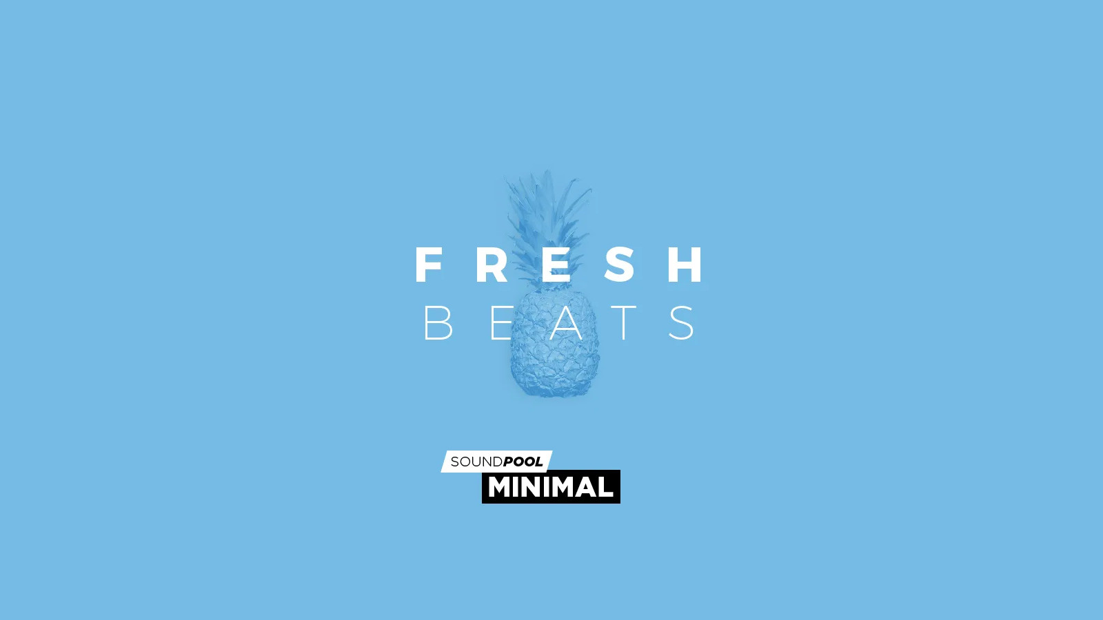 MAGIX Soundpool Fresh Beats ProducerPlanet CD Key, $5.65