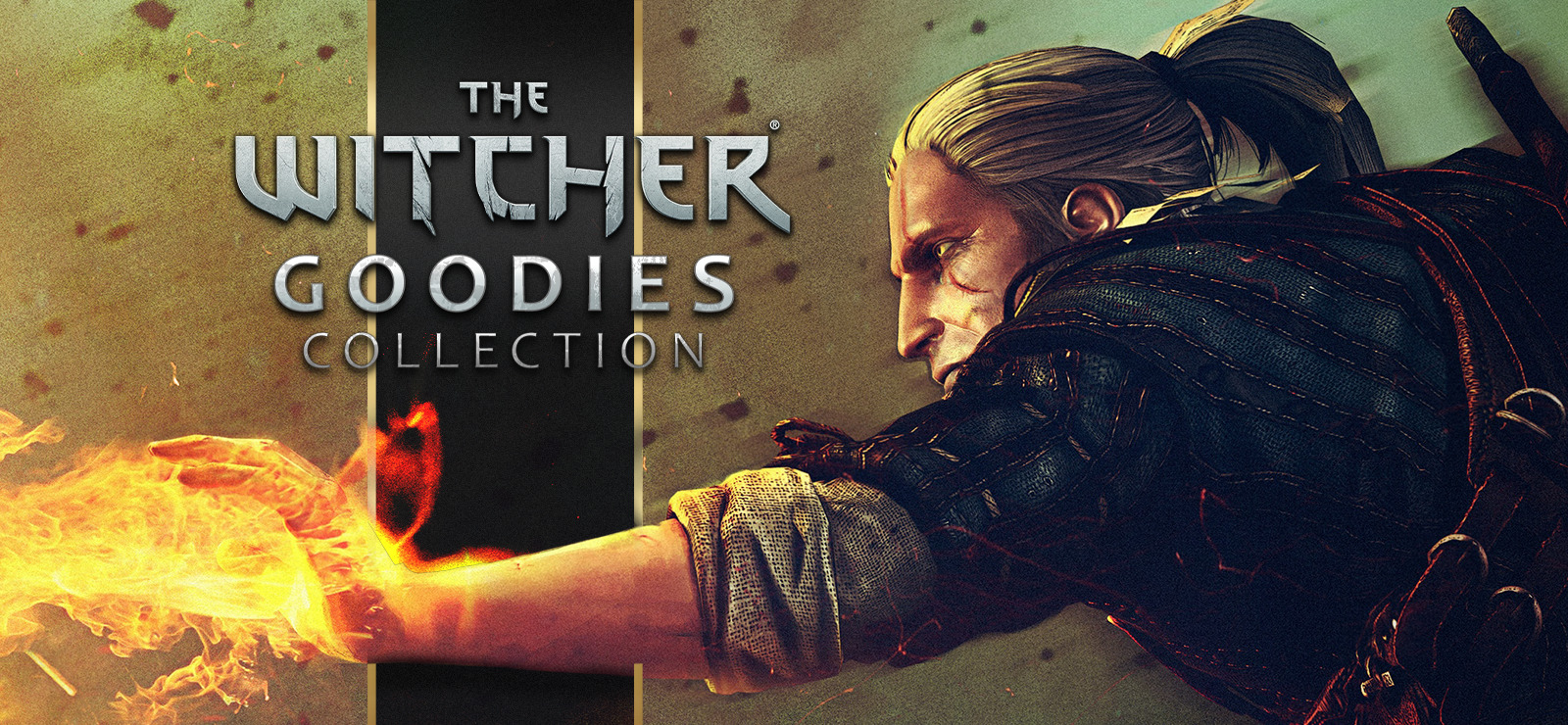 The Witcher - Goodies Collection GOG CD Key, $2.54