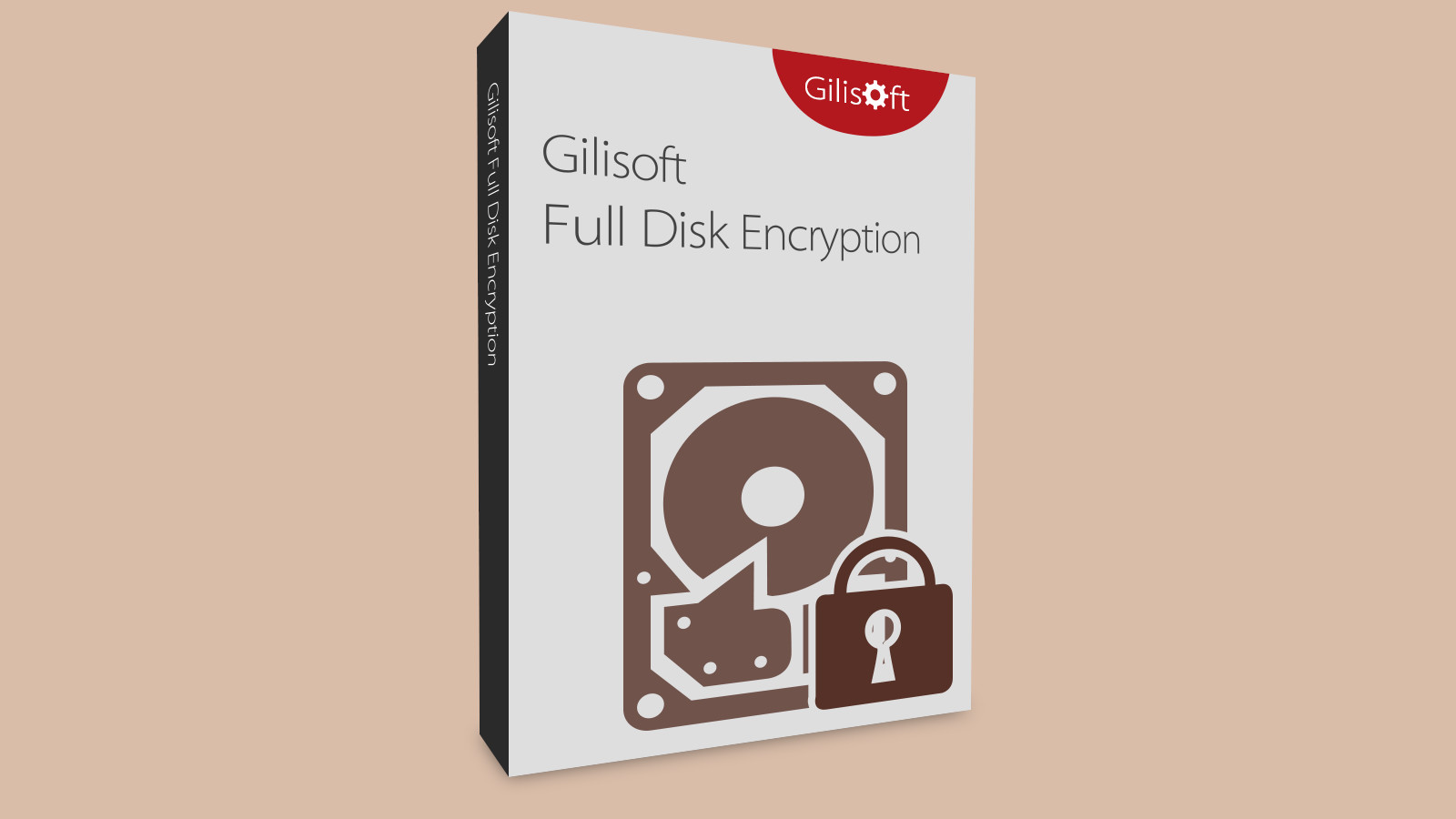 Gilisoft Full Disk Encryption CD Key, $19.72