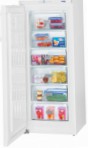 Liebherr GP 2433 Fridge freezer-cupboard