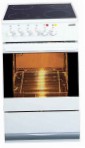 Hansa FCCW550820 Kitchen Stove, type of oven: electric, type of hob: electric