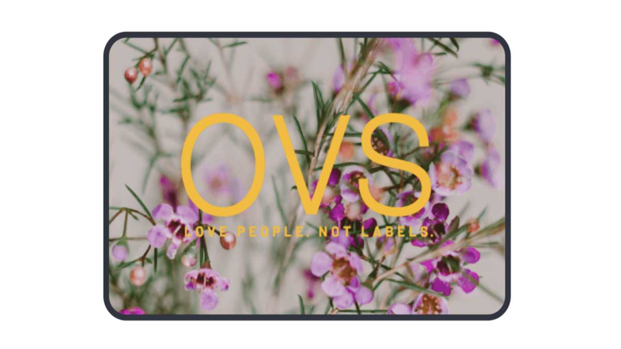 OVS €10 Gift Card IT, $12.68